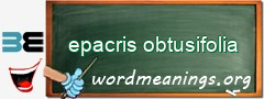 WordMeaning blackboard for epacris obtusifolia